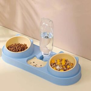 Tempat Makan Kucing