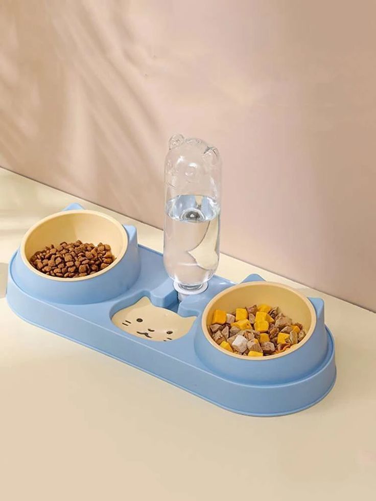 Tempat Makan Kucing